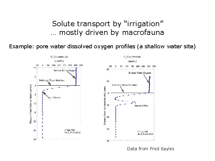 Solute transport by “irrigation” … mostly driven by macrofauna Example: pore water dissolved oxygen Solute transport by “irrigation” … mostly driven by macrofauna Example: pore water dissolved oxygen