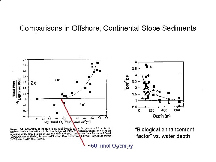 Comparisons in Offshore, Continental Slope Sediments 2 x “Biological enhancement factor” vs. water depth Comparisons in Offshore, Continental Slope Sediments 2 x “Biological enhancement factor” vs. water depth