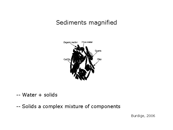 Sediments magnified -- Water + solids -- Solids a complex mixture of components Burdige, Sediments magnified -- Water + solids -- Solids a complex mixture of components Burdige,