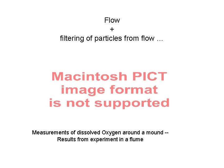 Flow + filtering of particles from flow … Measurements of dissolved Oxygen around a Flow + filtering of particles from flow … Measurements of dissolved Oxygen around a