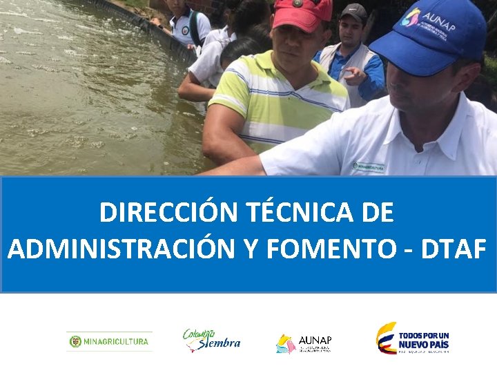 DIRECCIÓN TÉCNICA DE ADMINISTRACIÓN Y FOMENTO - DTAF 