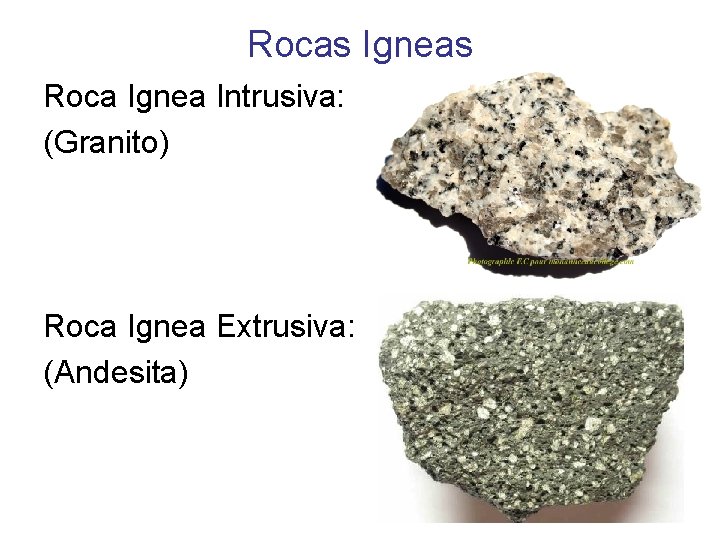Rocas Igneas Roca Ignea Intrusiva: (Granito) Roca Ignea Extrusiva: (Andesita) 