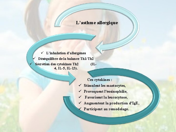 L’asthme allergique ü L’inhalation d’allergènes ü Déséquilibre de la balance Th 1/Th 2 ü