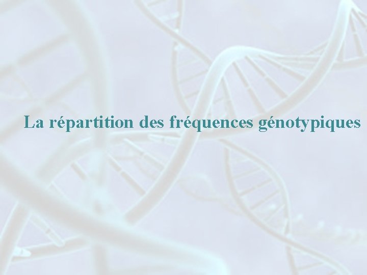 La répartition des fréquences génotypiques 