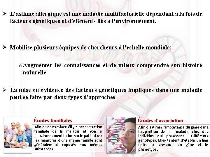 Ø L'asthme allergique est une maladie multifactorielle dépendant à la fois de facteurs génétiques