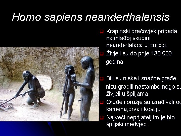Homo sapiens neanderthalensis q q q Krapinski pračovjek pripada najmlađoj skupini neandertalaca u Europi.