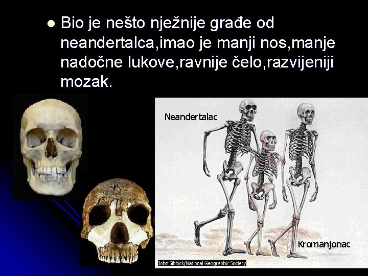 l Bio je nešto nježnije građe od neandertalca, imao je manji nos, manje nadočne