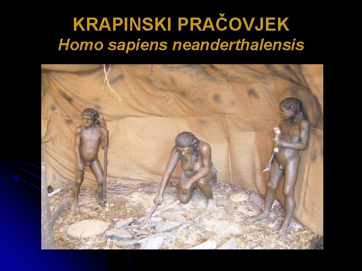 KRAPINSKI PRAČOVJEK Homo sapiens neanderthalensis 