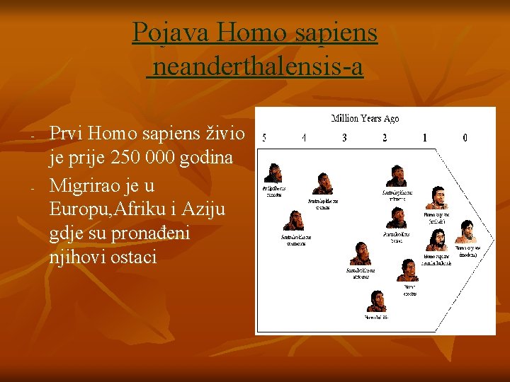 Pojava Homo sapiens neanderthalensis-a - - Prvi Homo sapiens živio je prije 250 000