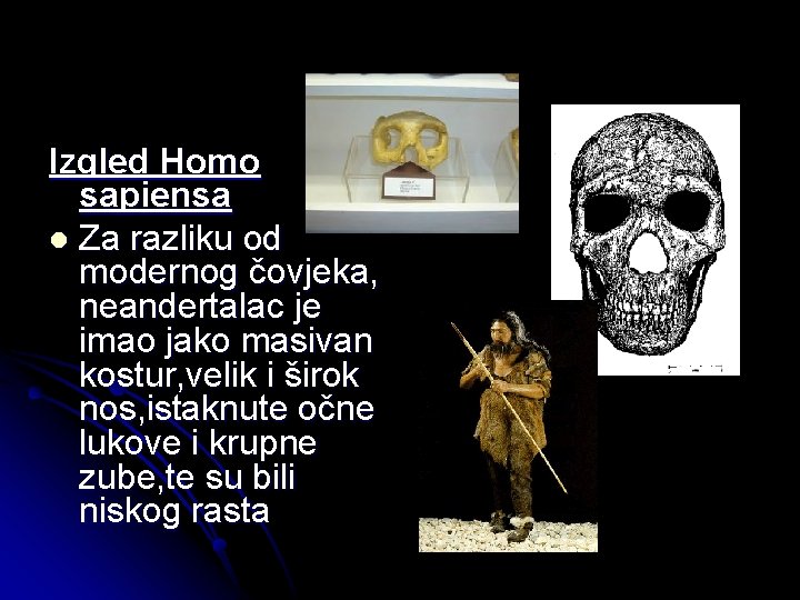 Izgled Homo sapiensa l Za razliku od modernog čovjeka, neandertalac je imao jako masivan