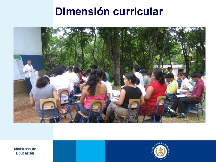 Dimensión curricular Ministerio de Educación 