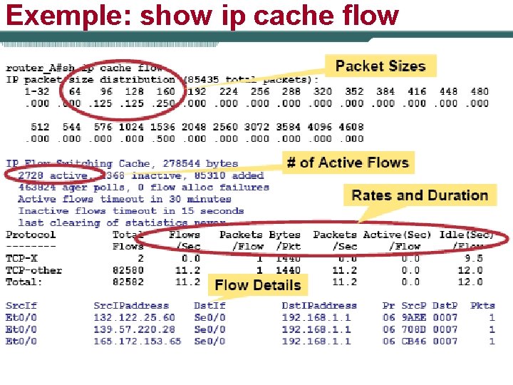 Exemple: show ip cache flow 