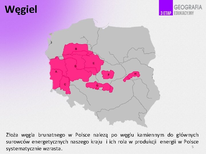 Węgiel Złoża węgla brunatnego w Polsce nalezą po węglu kamiennym do głównych surowców energetycznych
