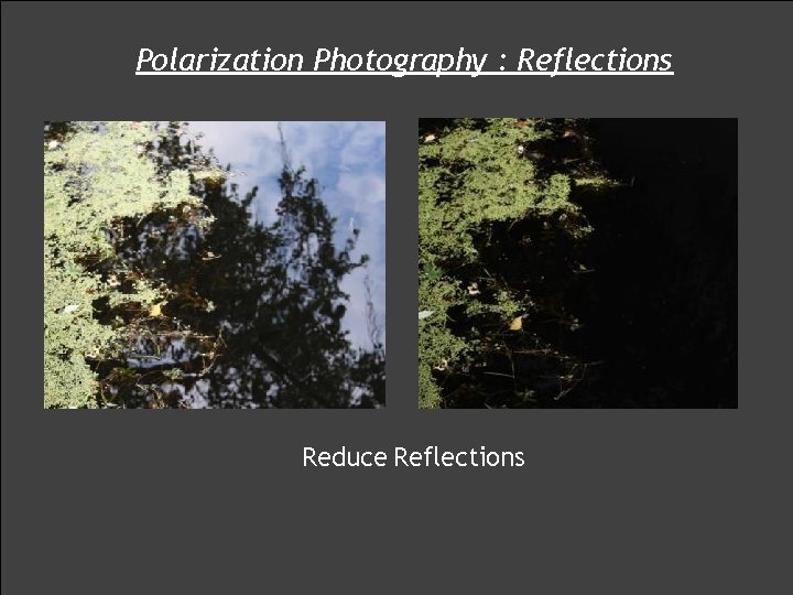 Polarization Photography : Reflections Reduce Reflections 