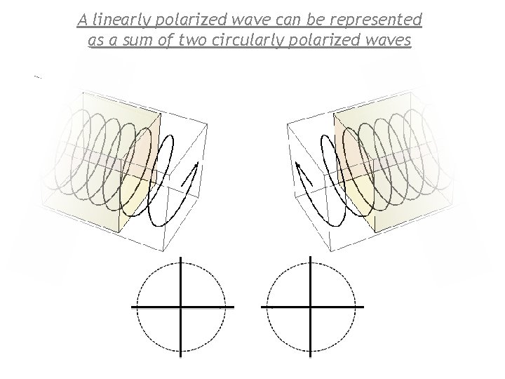 A linearly polarized wave can be represented as a sum of two circularly polarized