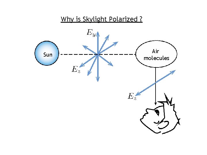 Why is Skylight Polarized ? Sun Air molecules 