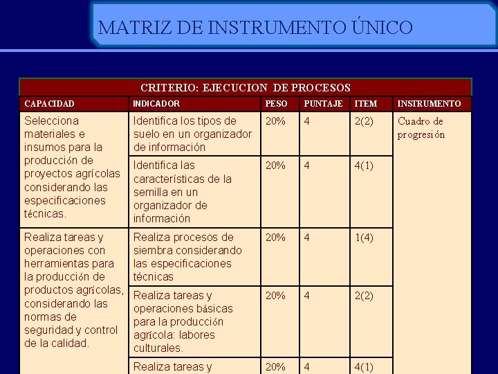 MATRIZ DE INSTRUMENTO ÚNICO CRITERIO: EJECUCION DE PROCESOS CAPACIDAD INDICADOR PESO PUNTAJE ITEM INSTRUMENTO