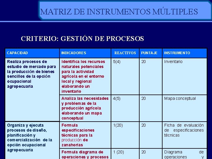 MATRIZ DE INSTRUMENTOS MÚLTIPLES CRITERIO: GESTIÓN DE PROCESOS CAPACIDAD INDICADORES Realiza procesos de estudio