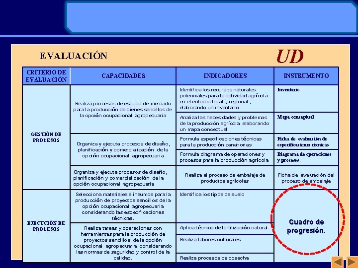 UD EVALUACIÓN CRITERIO DE EVALUACIÓN CAPACIDADES Realiza procesos de estudio de mercado para la