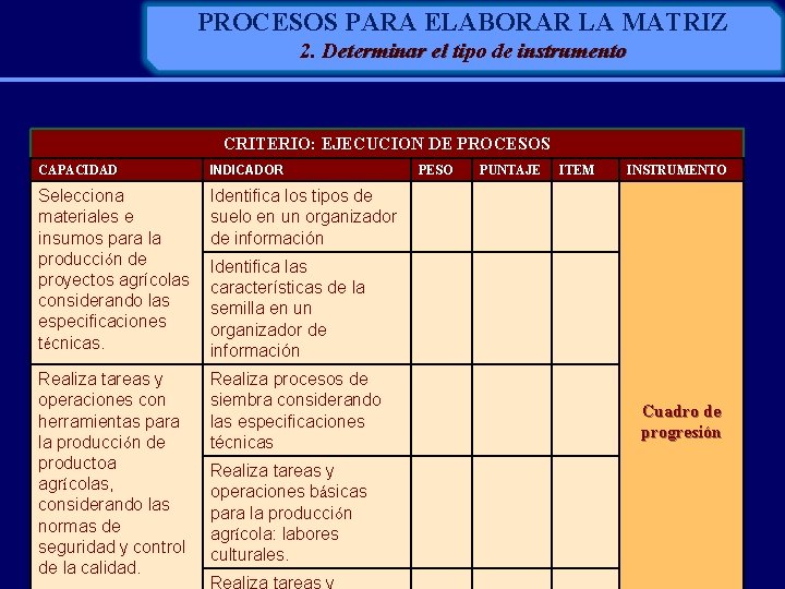 PROCESOS PARA ELABORAR LA MATRIZ 2. Determinar el tipo de instrumento CRITERIO: EJECUCION DE