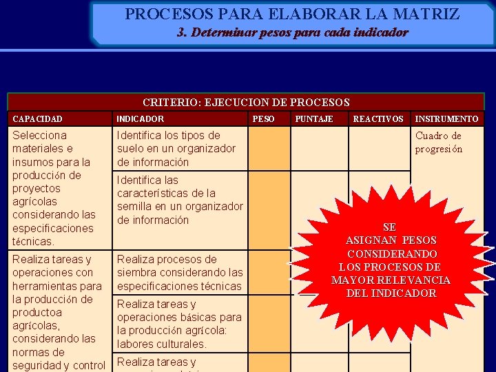 PROCESOS PARA ELABORAR LA MATRIZ 3. Determinar pesos para cada indicador CRITERIO: EJECUCION DE