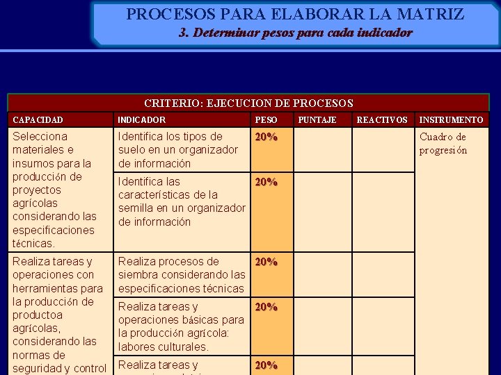 PROCESOS PARA ELABORAR LA MATRIZ 3. Determinar pesos para cada indicador CRITERIO: EJECUCION DE