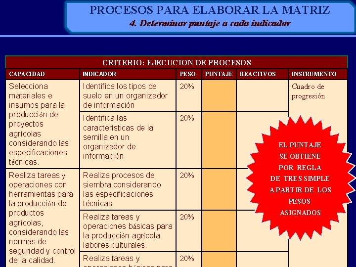 PROCESOS PARA ELABORAR LA MATRIZ 4. Determinar puntaje a cada indicador CRITERIO: EJECUCION DE