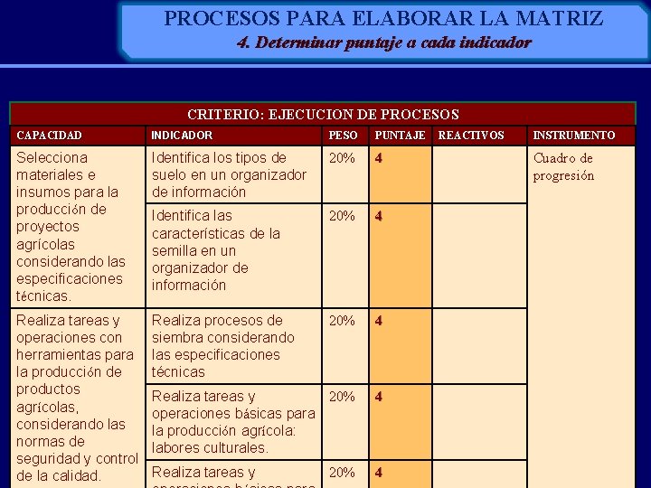 PROCESOS PARA ELABORAR LA MATRIZ 4. Determinar puntaje a cada indicador CRITERIO: EJECUCION DE