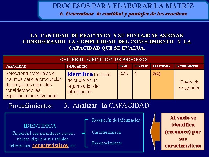 PROCESOS PARA ELABORAR LA MATRIZ 6. Determinar la cantidad y puntajes de los reactivos