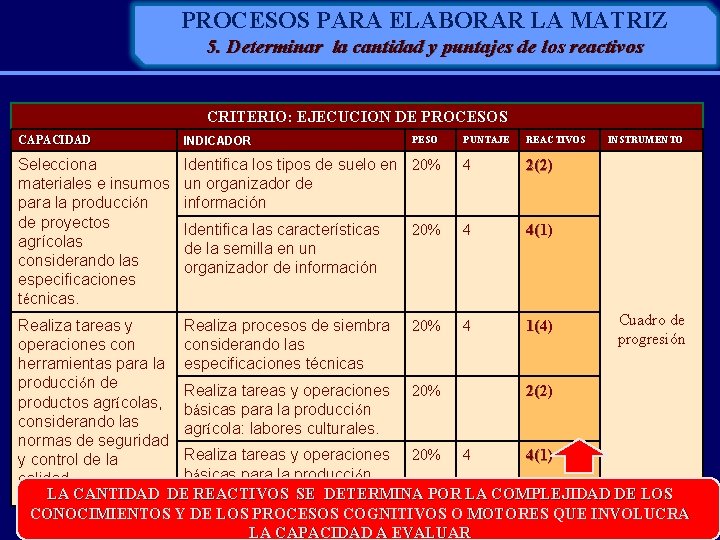 PROCESOS PARA ELABORAR LA MATRIZ 5. Determinar la cantidad y puntajes de los reactivos