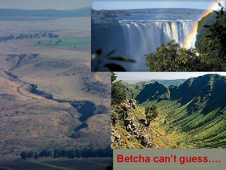 Betcha can’t guess…. 