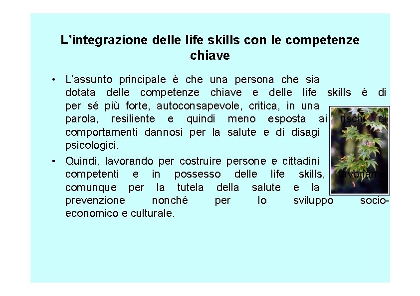L’integrazione delle life skills con le competenze chiave • L’assunto principale è che una