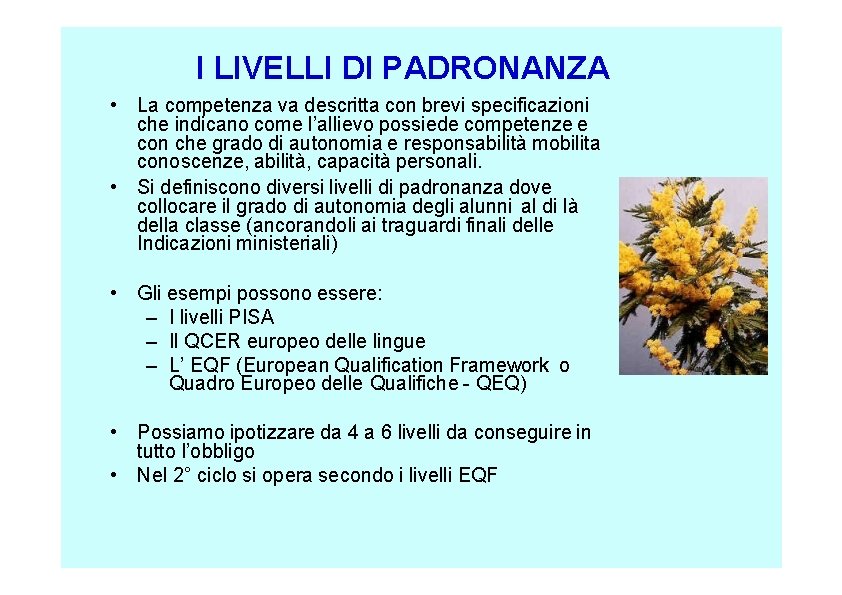 I LIVELLI DI PADRONANZA • La competenza va descritta con brevi specificazioni che indicano