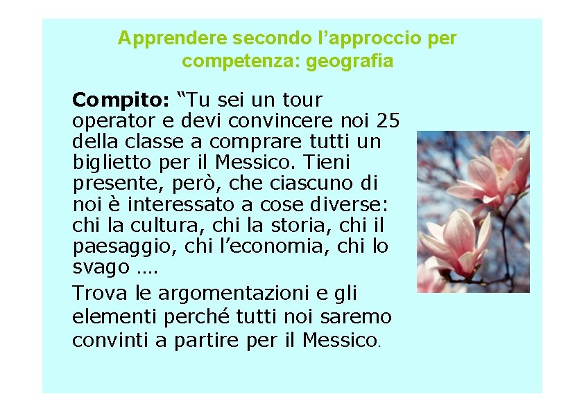 Apprendere secondo l’approccio per competenza: geografia Compito: “Tu sei un tour operator e devi