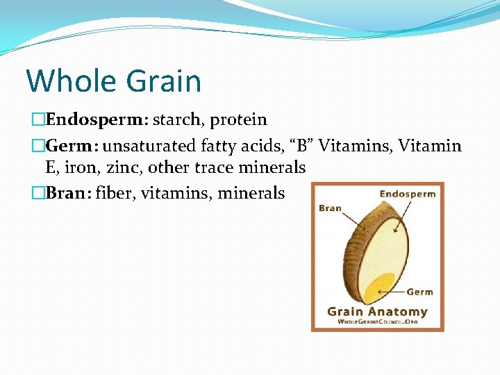 Whole Grain �Endosperm: starch, protein �Germ: unsaturated fatty acids, “B” Vitamins, Vitamin E, iron,