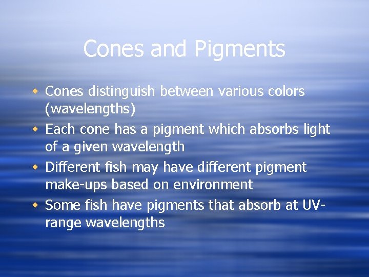 Cones and Pigments w Cones distinguish between various colors (wavelengths) w Each cone has