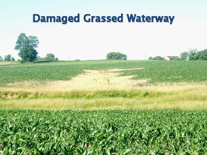 Damaged Grassed Waterway Damaged Grassed Waterway