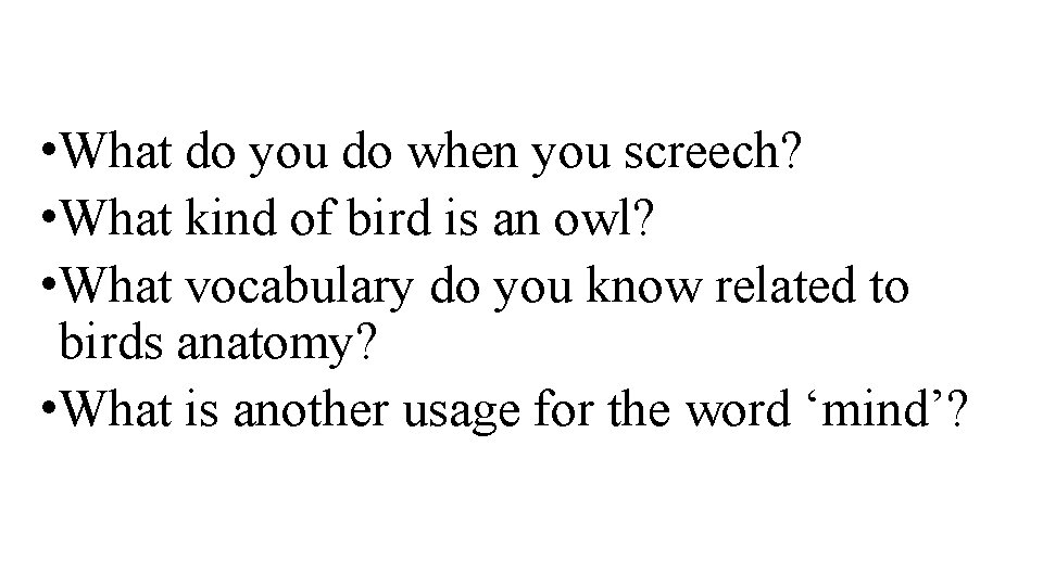  • What do you do when you screech? • What kind of bird