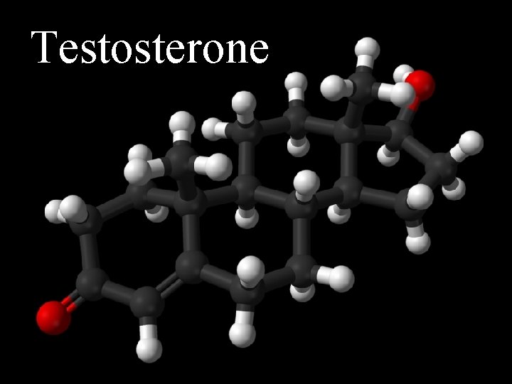 Testosterone 