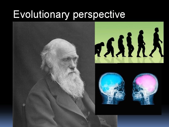 Evolutionary perspective 