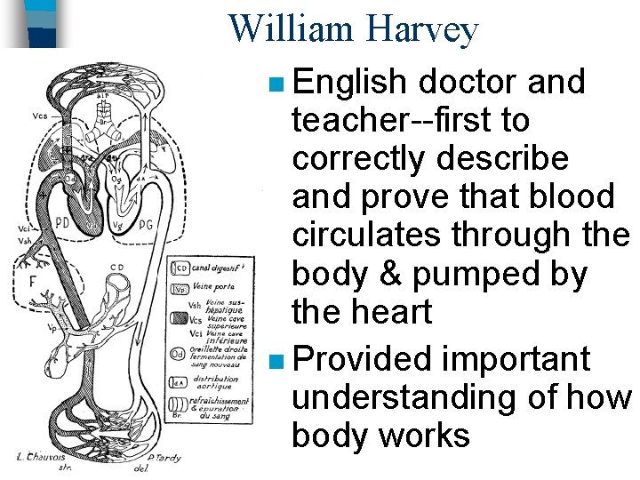 William Harvey n English doctor and teacher--first to correctly describe and prove that blood