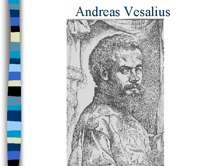 Andreas Vesalius 