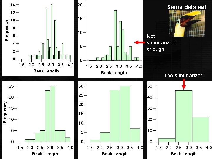 Same data set Not summarized enough Too summarized 