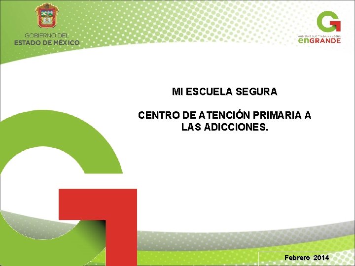  MI ESCUELA SEGURA CENTRO DE ATENCIÓN PRIMARIA A LAS ADICCIONES. Febrero 2014 