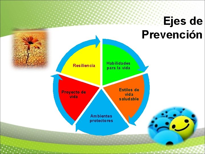 Ejes de Prevención Resiliencia Habilidades para la vida Estilos de vida saludable Proyecto de