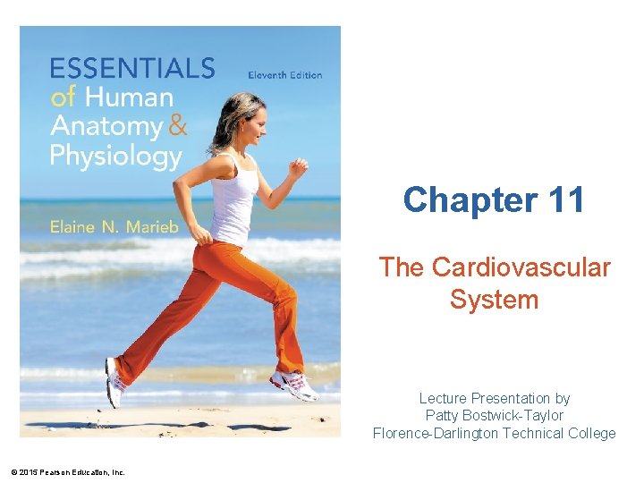 Chapter 11 The Cardiovascular System Lecture Presentation by Patty Bostwick-Taylor Florence-Darlington Technical College ©