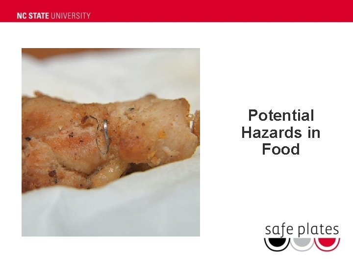 Potential Hazards in Food 