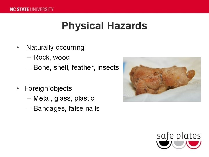 Physical Hazards • Naturally occurring – Rock, wood – Bone, shell, feather, insects •