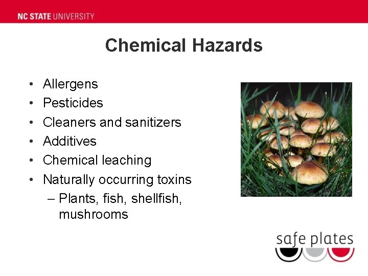 Chemical Hazards • • • Allergens Pesticides Cleaners and sanitizers Additives Chemical leaching Naturally