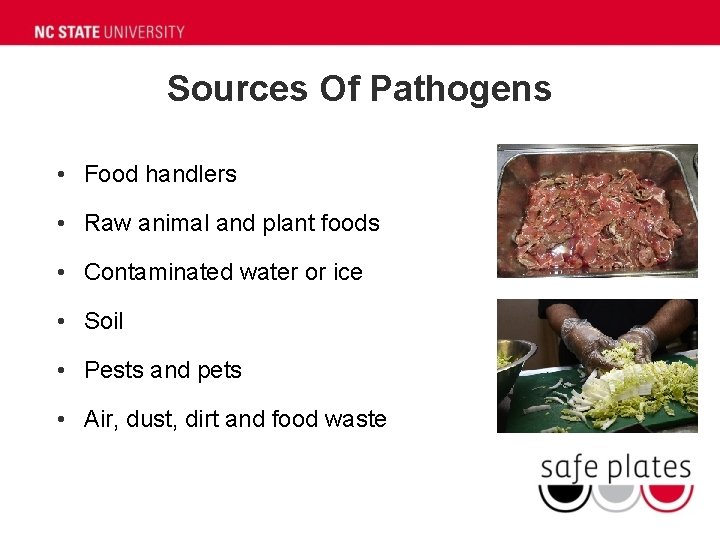 Sources Of Pathogens • Food handlers • Raw animal and plant foods • Contaminated